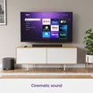 Roku Wireless Subwoofer 2