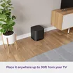 Roku Wireless Subwoofer 4