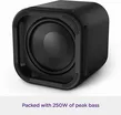 Roku Wireless Subwoofer 6