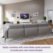 Roku Wireless Subwoofer 7