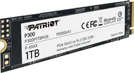 Patriot P300 1TB 3