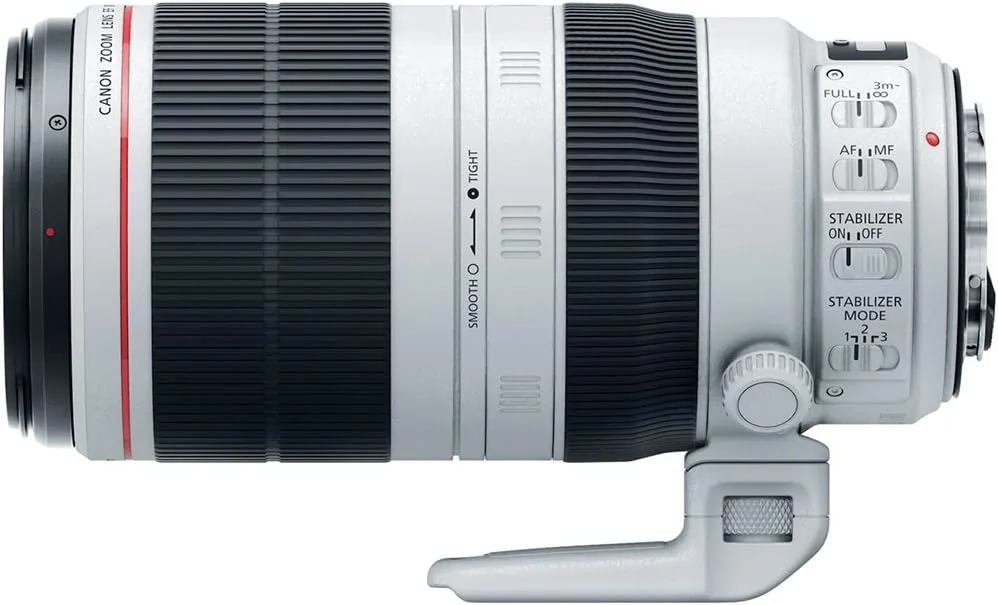 Canon EF 100-400mm f/4.5-5.6L IS 1