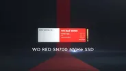 WD Red SN700 SSD 8