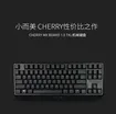 Cherry MX 1.0 TKL 2