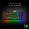 Razer Cynosa Chroma Pro 2