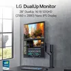 LG DualUp 2