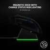 Razer Barracuda Pro Wireless Gam 6