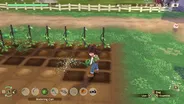 Story of Seasons: A Wonderful Li 5