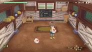 Story of Seasons: A Wonderful Li 6