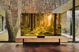 Samsung QN900B Neo QLED 8K TV 8