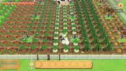 Story of Seasons: Pioneers of Ol 7