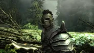 The Elder Scrolls V: Skyrim PC 17