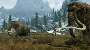 The Elder Scrolls V: Skyrim PC 25