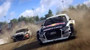 Dirt Rally 2.0 10