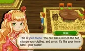 Story of Seasons 5