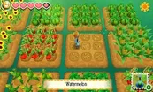 Story of Seasons 6