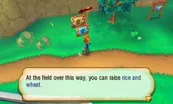 Story of Seasons 9