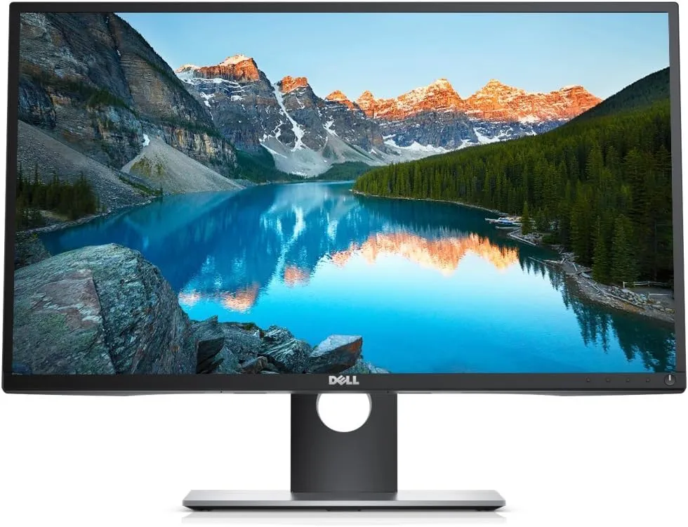 Dell P2217H 1