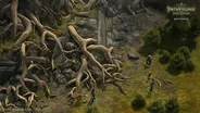 Pathfinder: Kingmaker 7