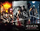 Ninja Gaiden 2