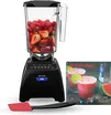 Blendtec Classic 575 1