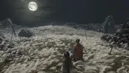 Sekiro: Shadows Die Twice (for P 3