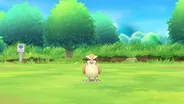 Pokemon: Let's Go, Eevee (for Ni 3