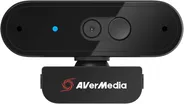 AverMedia PW310P 2