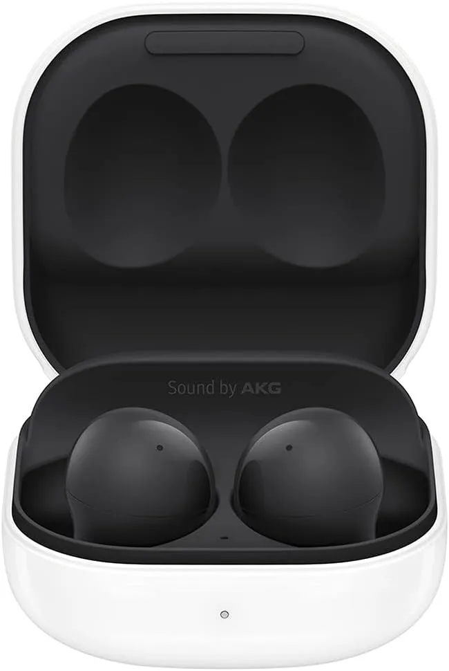 Samsung Galaxy Buds2 1