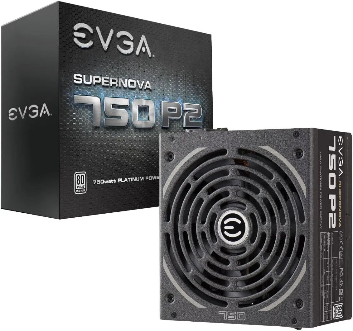 EVGA SuperNova P2 1